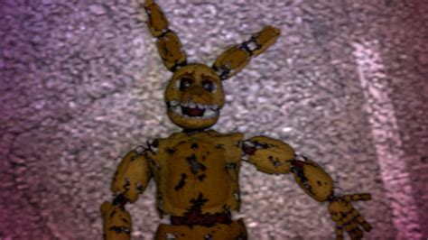 Image result for How Spring Trap Really Died