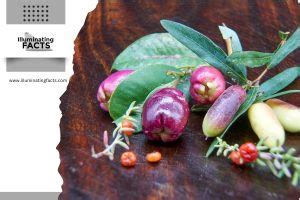 Image result for Australian Indigenous Cooking Methods