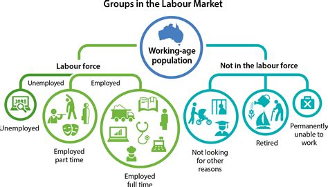 Unemployment: Its Measurement and Types | Explainer | Education | RBA