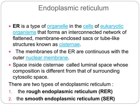 Endoplasmic system (structure and function)) | PPTX