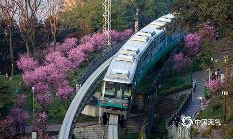美炸了！重庆版开往春天的列车-高清图集-中国天气网