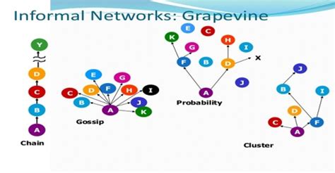 Grapevine Tutorial 的图像结果