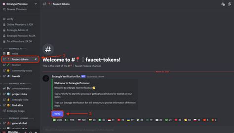 Entangle Testnet V2 Guide - Step by Step. — Teletype