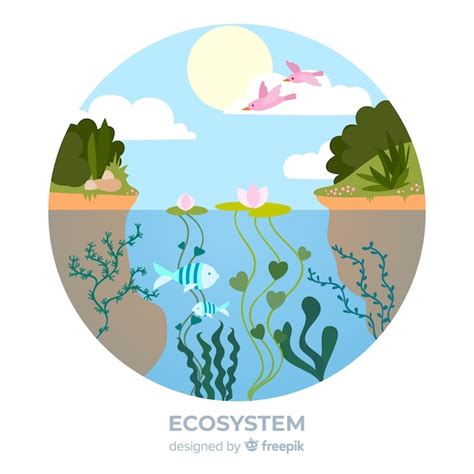 Ecosystem Drawing 的图像结果
