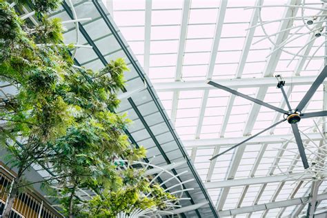 Efficiency 的图像结果