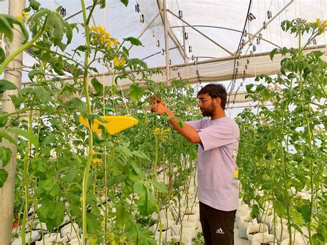 Agri Joy | hydroponic farming in india