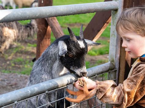 JURASSIC NEWPARK Guide (2026) All You Need to Know BEFORE You Go (with ...