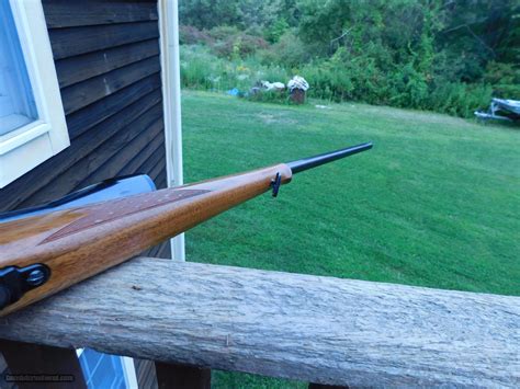 Krico Tradwinds 250-3000 Savage Elegant Double Set Trigger 26 Custom ...