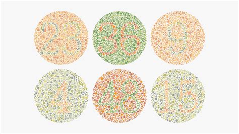 The Different Types Of Color Blindness | Yesglasses