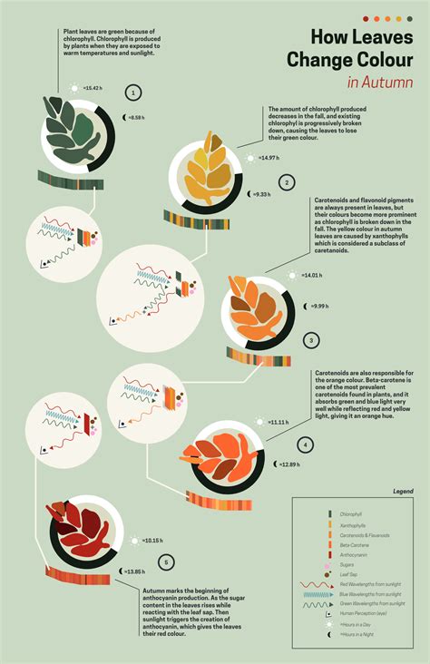 Image result for Visualizing Processes