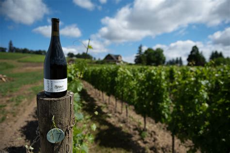 Review: Sokol Blosser Meditrina{6} Red Wine - Drinkhacker