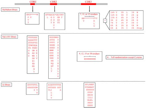 Easily Established and Multifunctional Synthetic Nanobody Libraries as ...