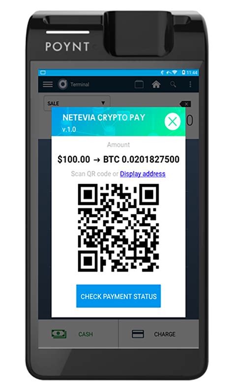 Image result for Net Element