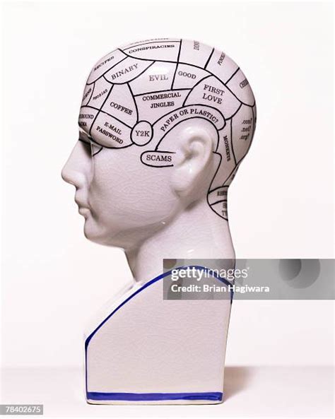 Image result for Multitasking Brain Vector