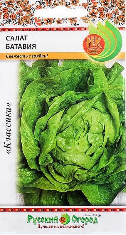 Семена Салат кочанный Батавия: описание сорта, фото - купить с ...