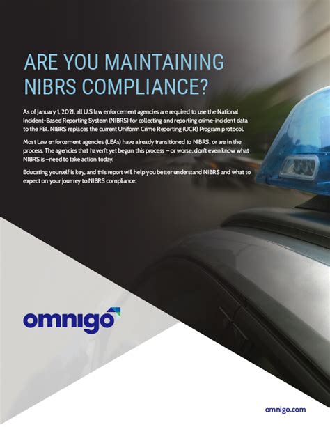 How to Use NIBRS 的图像结果