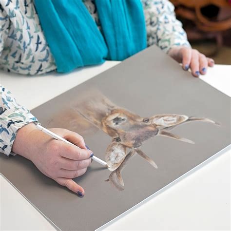 Image result for Recent Bonny Snowdon Tutorials