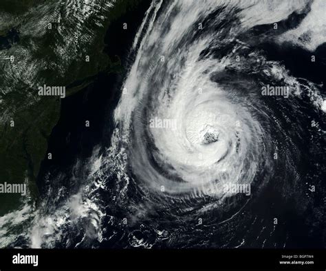 Hurricane Erin European Model