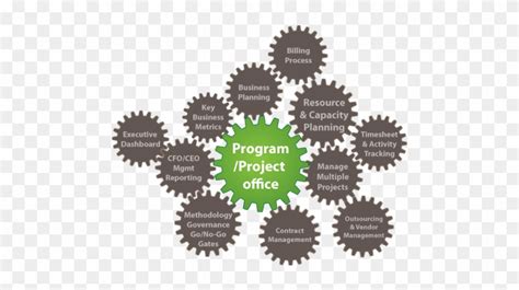 Image result for Program Management Office PMO