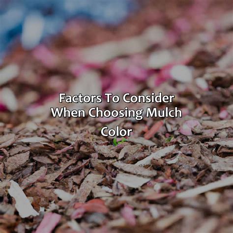 Image result for How to Color Mulch