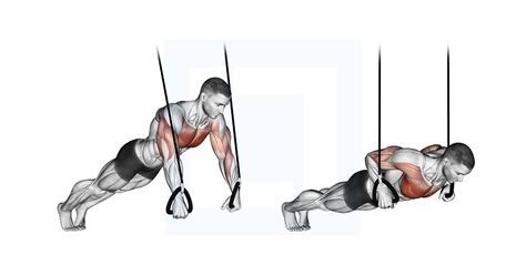 Image result for Push Back Push-Up