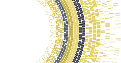 Image result for Algorithm Affect On Consumers