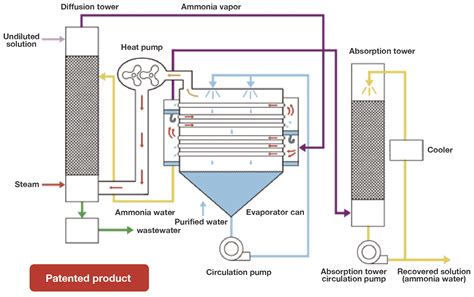 Can Fish Recover From Ammonia Poisoning? A Recovery Guide