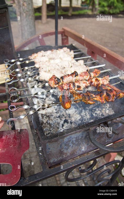 Meat Cooking Process 的图像结果