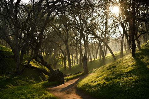 PHOTOS: Immersed in nature at Walnut Creek's Shell Ridge Open Space