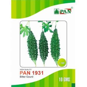 Pan Seeds - Bitter Gourd Seeds | Buy Online at Best Price - DesiKheti ...