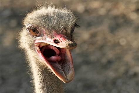 How To Cancel Liberty Mutual Insurance (2025) | Heritage