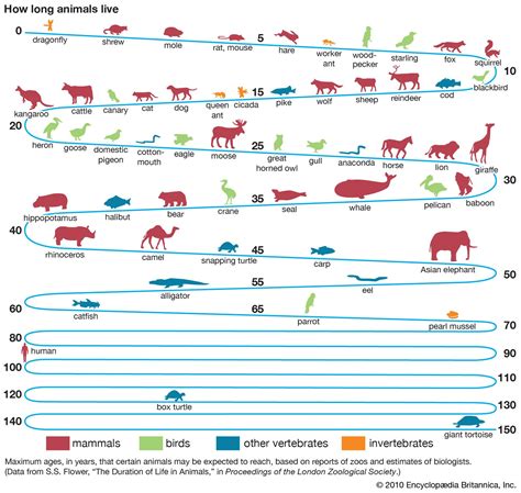 Life span | Definition, Measurement, & Facts | Britannica