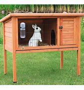Image result for Bunny Cage