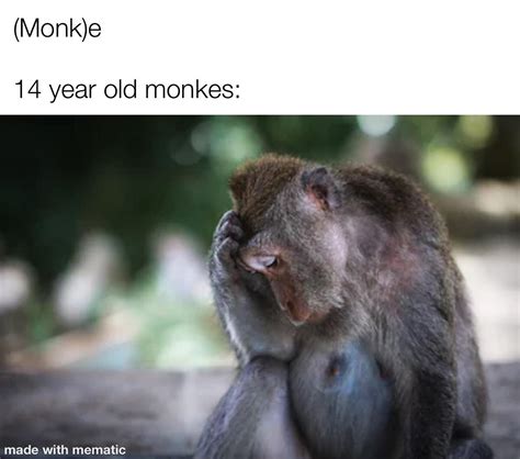 sad monke : r/memes
