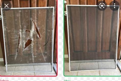 Image result for Window Bug Screens