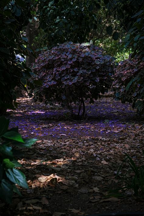 Very Beautiful in Spanish [2024] 💃 - Spanish Scholar