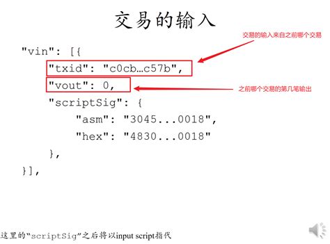 BTC Tutorial 的图像结果