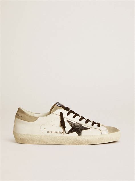 We are Born to be a Super-Star: the Golden Goose Campaign