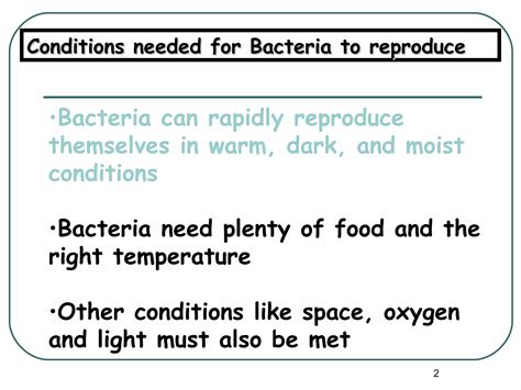 Image result for Bacteria Reproduction Animation