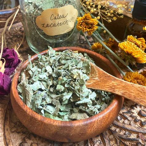 【LIMITED-RARE】Wild Mexican Calea Zacatechichi Leaves Incense (No.1 Plant for Enhancing Dream ...