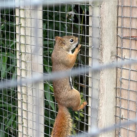 UILEN- EN DIERENPARK DE PAAY - All You Need to Know BEFORE You Go 2026 ...
