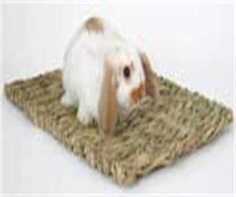 Peter's Woven Grass Mat for Rabbits : Amazon.in: Pet Supplies