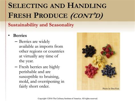 Image result for Codecombat Ingredient Identification Answers