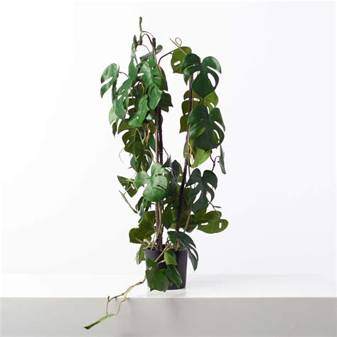 Green Split Leaf Monstera Faux House Plant Arrangement In Black Drop I ...