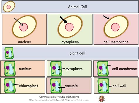 Biology Learning 的图像结果