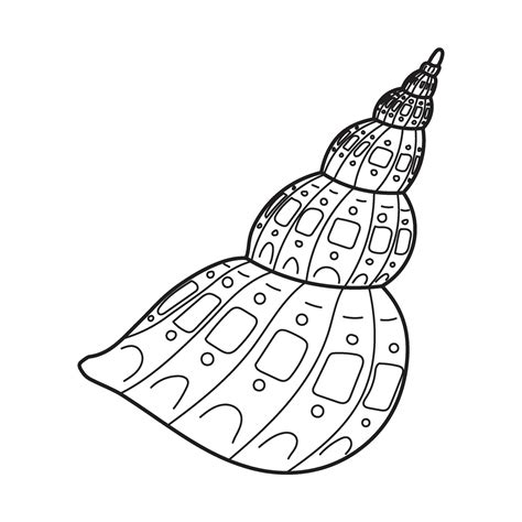 Image result for Open Sea Shell Line Drawing