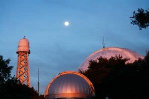 Image result for Chara Array