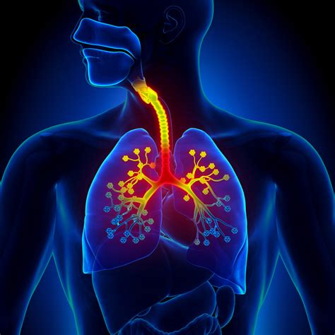 What to do for bronchitis - Harvard Health