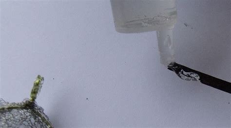 Fish Net Tutorial 的图像结果