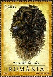 Dog Breeds – Romania 2005 – Stamp Digest